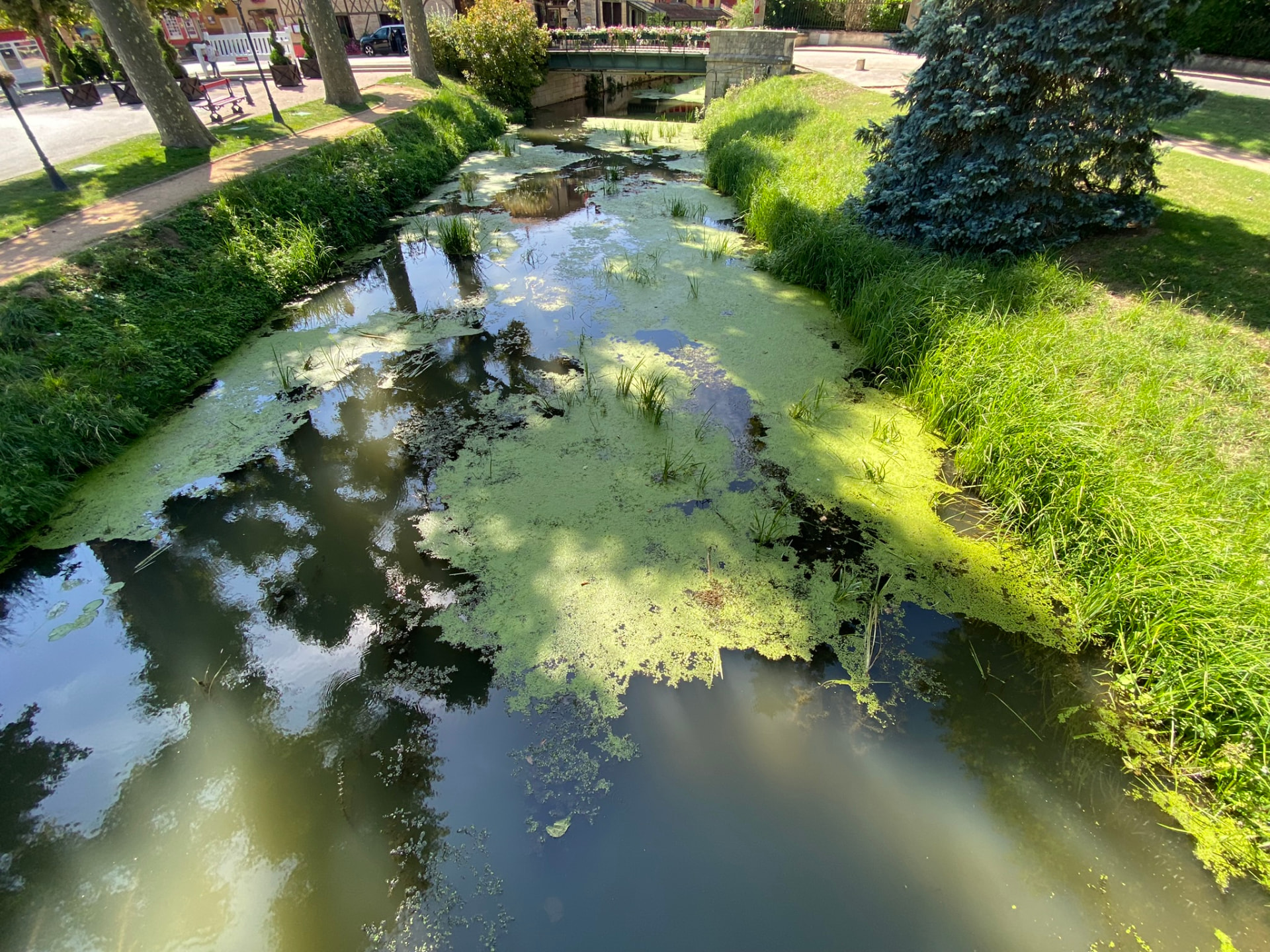La Veyle traversant le parc de Vonnas