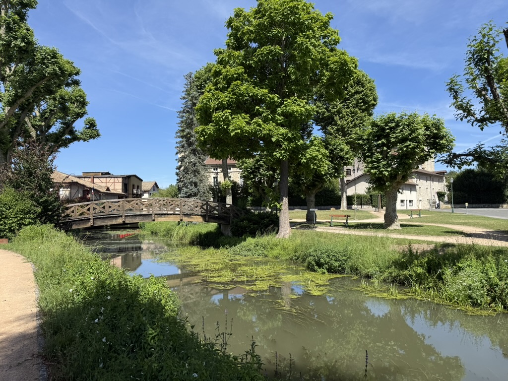 La passerelle de bois et la Veyle dans le parc de Vonnas en été