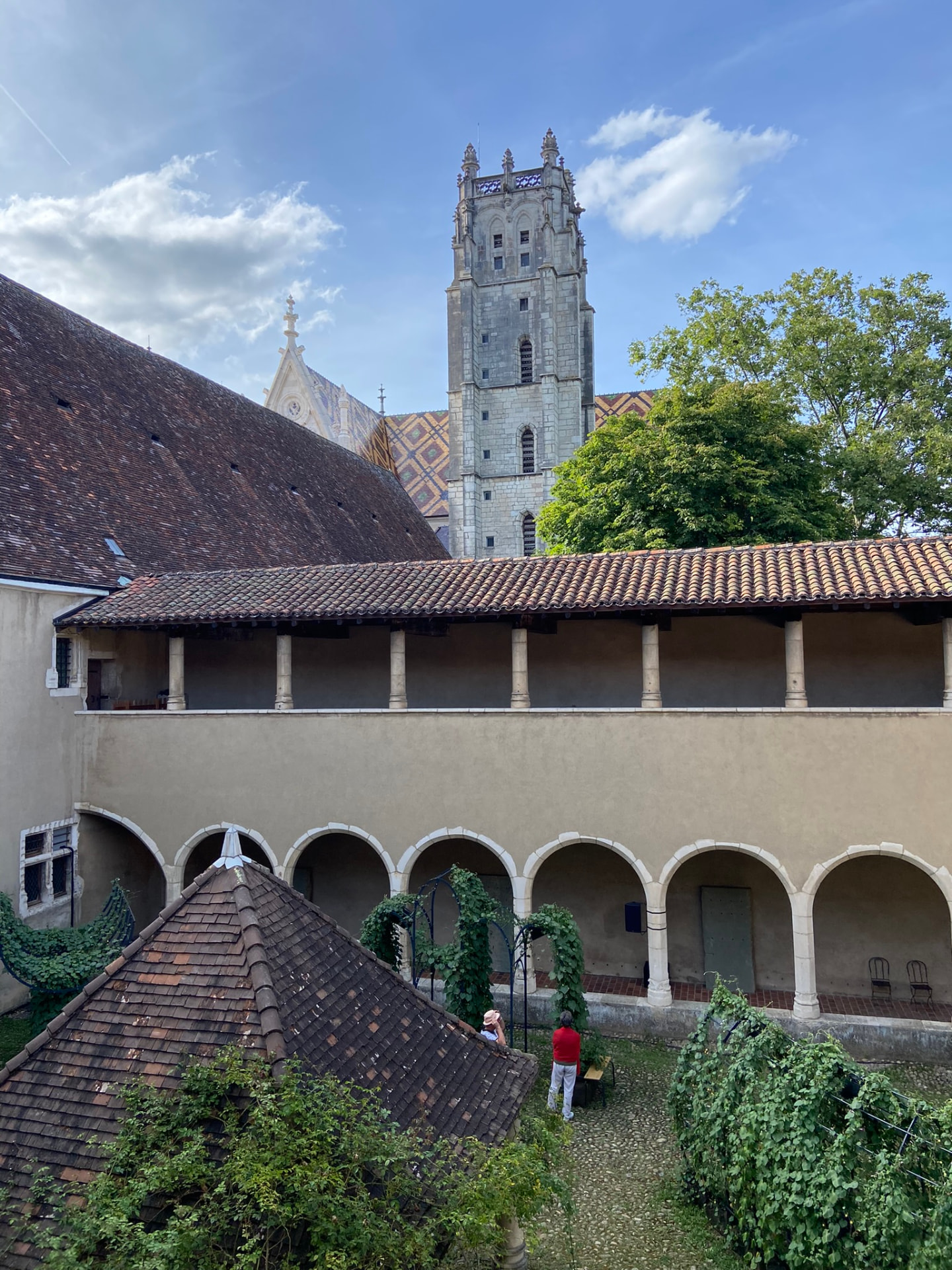 La tour et les tuiles vernissées de Brou vues du cloître fleuri