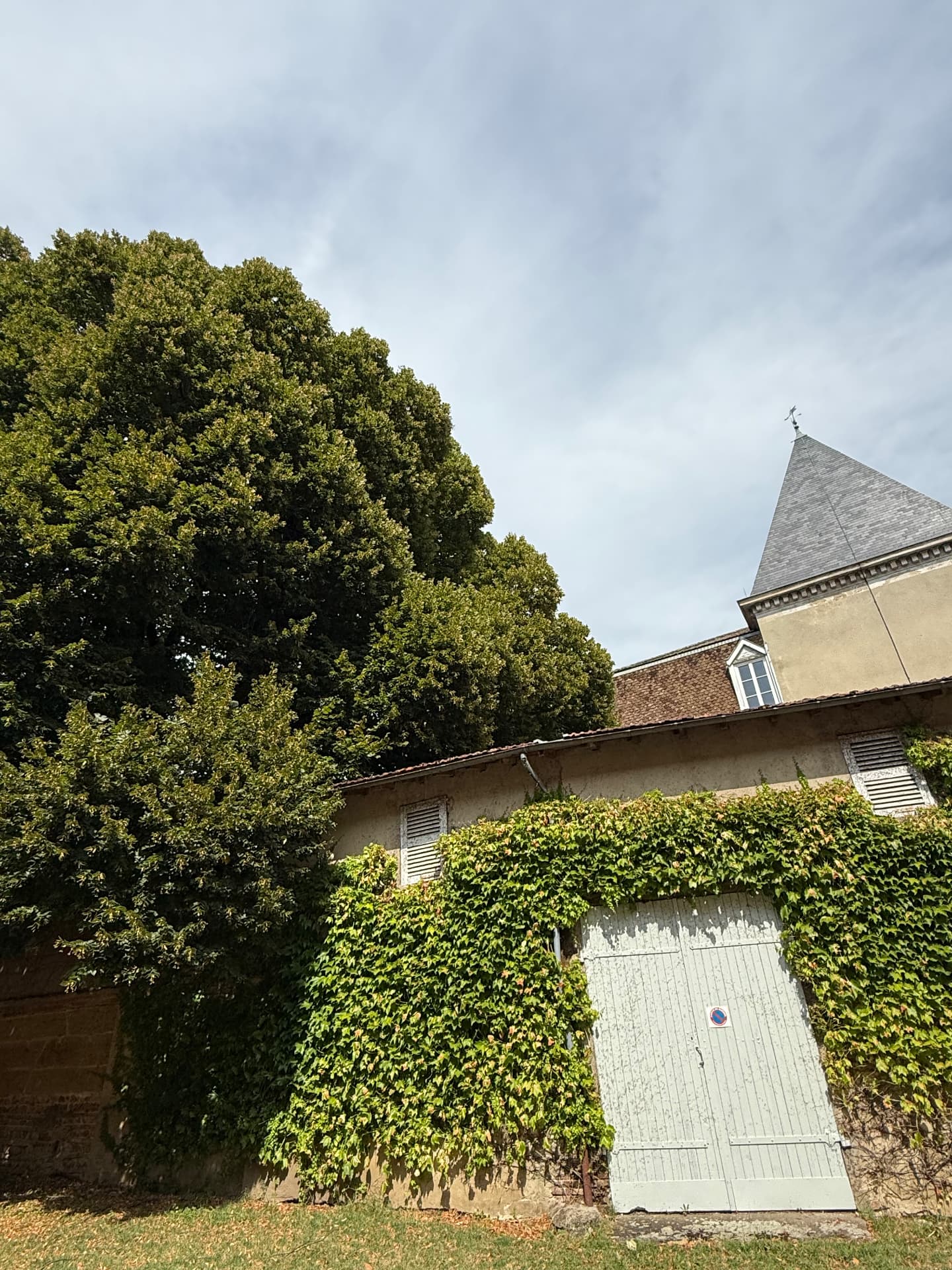 Les dépendances couvertes de lierre et la tour du château de Neuville-les-Dames