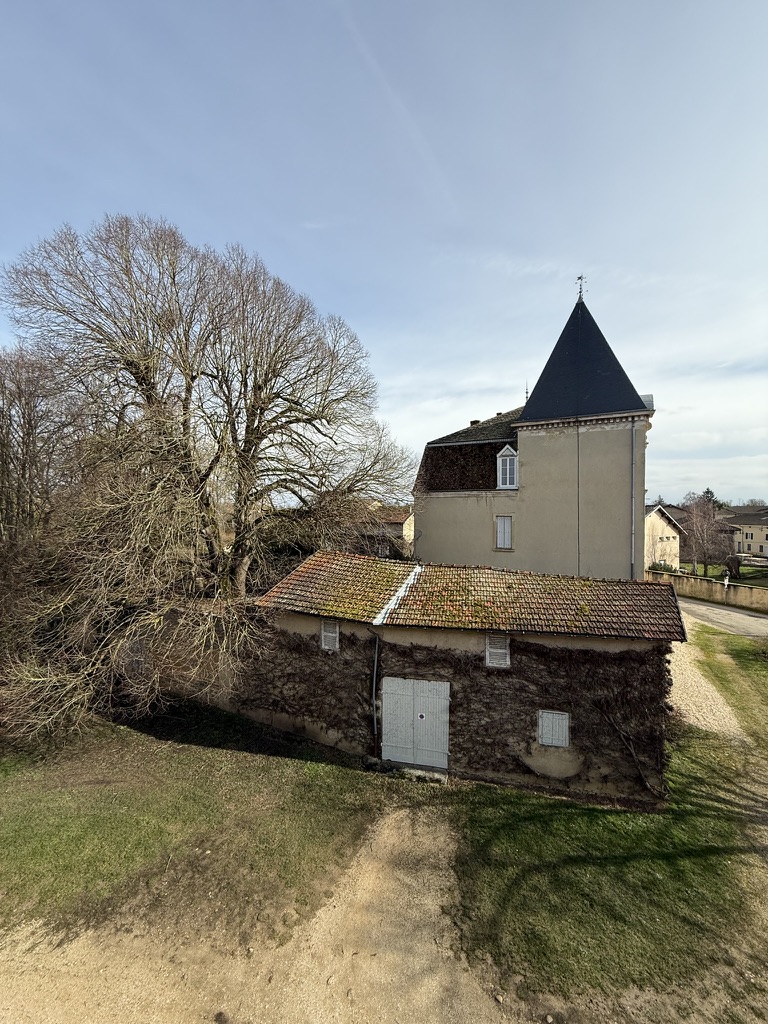 Vue sur le château et les dépendances couvertes de vigne vierge